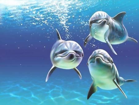 ma passion  (LES DAUPHINS)